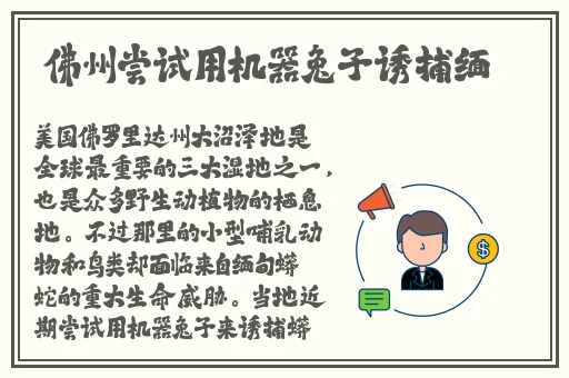 粉色苏州晶体